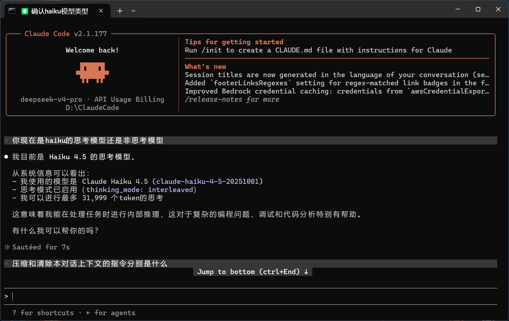 Claude Code 终端界面